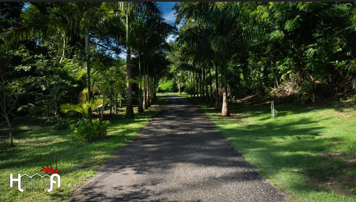 Hacienda Tres Casitas Casa de hóspedes Cabo Rojo Exterior foto